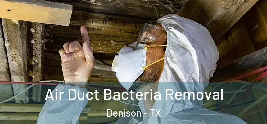  Air Duct Bacteria Removal Denison - TX