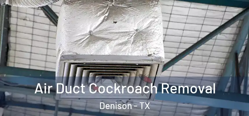 Air Duct Cockroach Removal Denison - TX