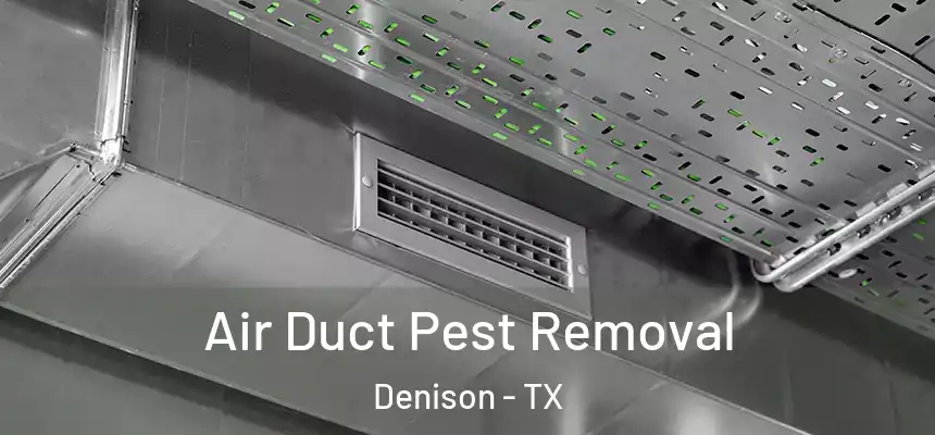 Air Duct Pest Removal Denison - TX