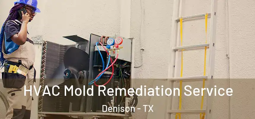 HVAC Mold Remediation Service Denison - TX