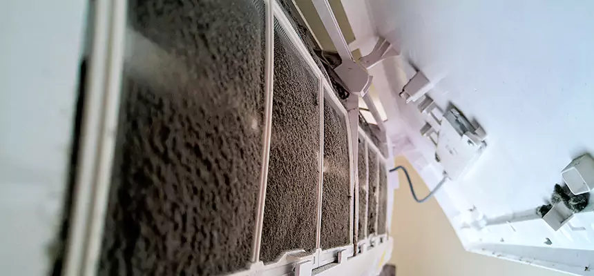 Preventive Air Duct Bacteria Removal in Denison