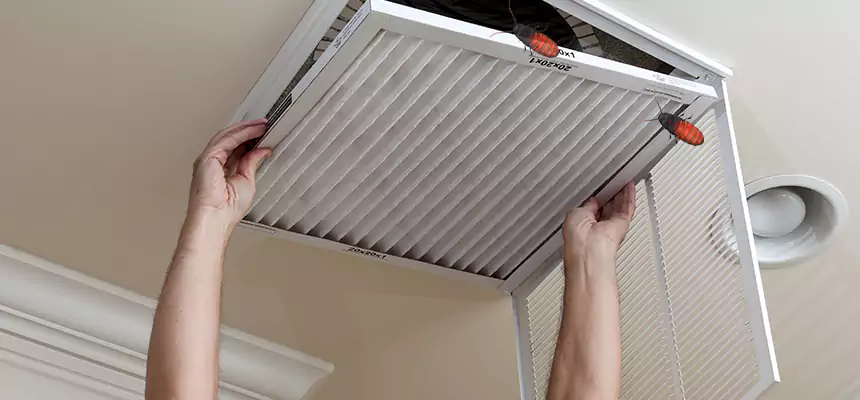 Preventive Cockroach-Proofing for Ducts in Denison