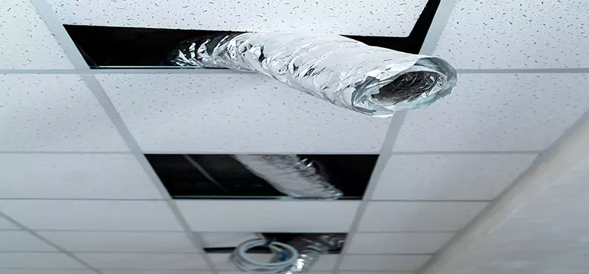 Affordable HVAC Sanitizing After Pest Removal in Denison