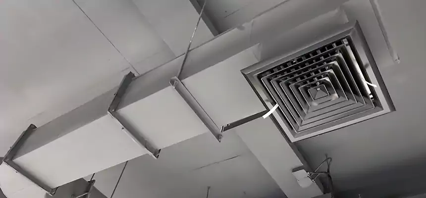 Our Pest Removal From Ducts Services in Denison, TX