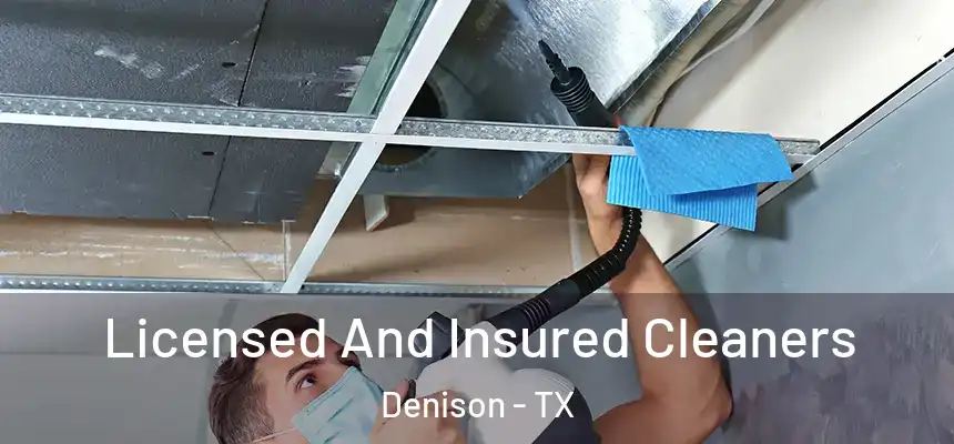Licensed And Insured Cleaners Denison - TX