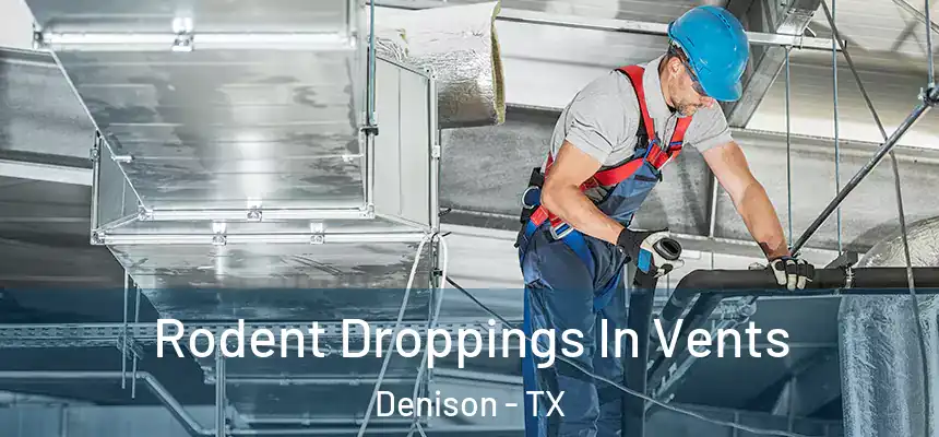 Rodent Droppings In Vents Denison - TX