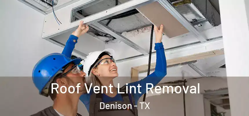 Roof Vent Lint Removal Denison - TX