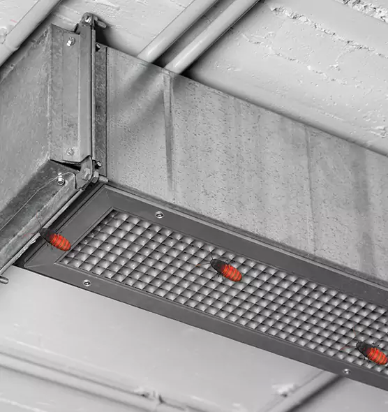 About Air Duct Cockroach Removal in Denison, TX