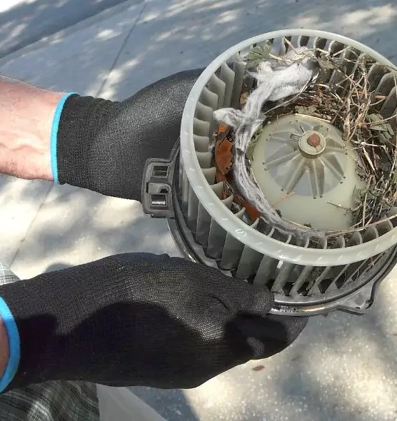 About Air Duct Mice Removal in Denison, TX