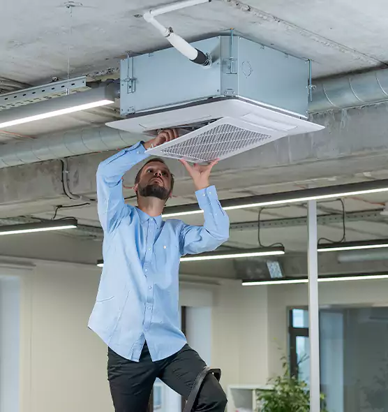 Advanced Rodent Droppings In Vents in Denison, TX