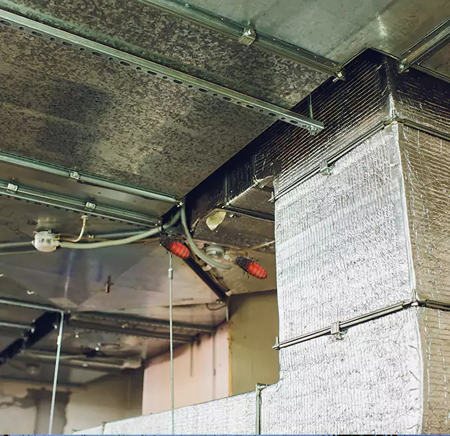 Why Homeowners & Businesses Trust Us in Denison, TX?