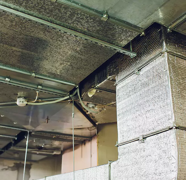 Why Homeowners & Businesses Trust Us in Denison, TX?